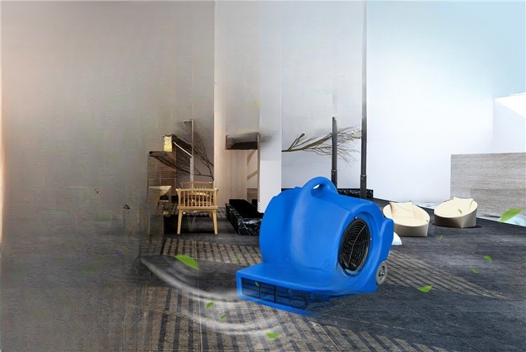 Mobilna suszarka do dywanów i  – Power Tools Mall recenzja i cena